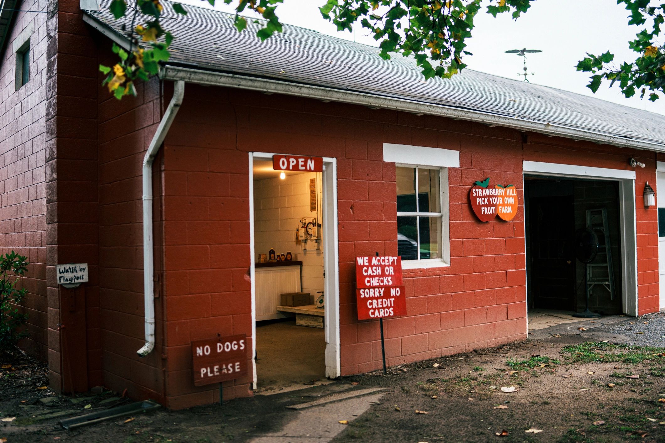 party rental storefront
